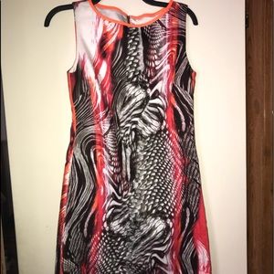Women’s shift dress